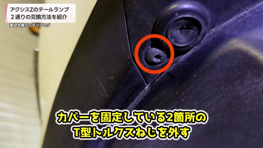左側のT型トルクスネジ